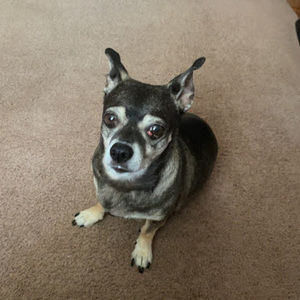 Meet your Posher, Makayla